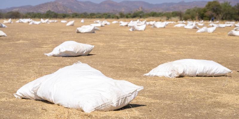 Supplies fell from the cargo door, landing in open fields for retrieval by teams on the grounds.