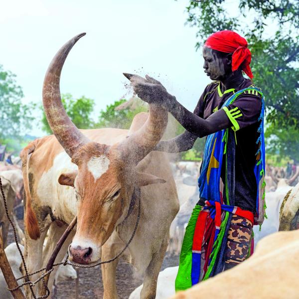 Help a family raise livestock