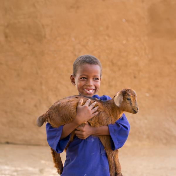 Donate a GOAT