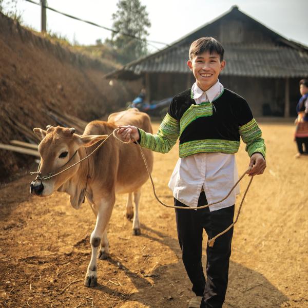 Help a family raise livestock