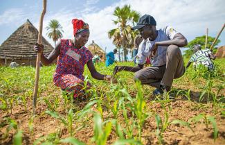 man and woman farming