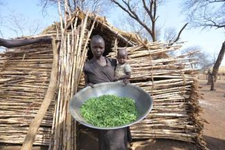 FOOD IS SCARCE IN THE CAMP AND FAMILIES ARE EATING THE LEAVES FROM THE TREES.