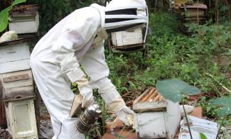 Haiti Livelihoods Projects Help Jumpstart Income Opportunities