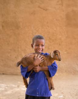 Donate a GOAT