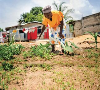 Help a Poor Farming Family