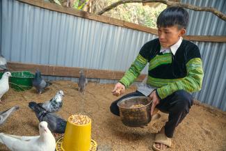 DE LEARNED to raise pigeons and chickens, which provide food and additional income for his family.