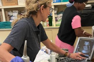 Most of the ultrasounds Hopkins performed were OB/GYN related, but a number of the scans also detected cancers, parasitic infections, and other conditions.