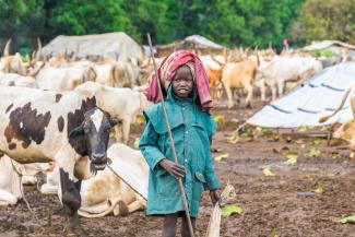 Help a family raise livestock